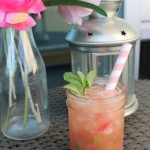 Rhubarb Mint Julep