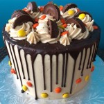 May on Planet Byn {2018}